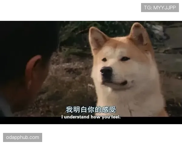 常园家的狗都比你自律